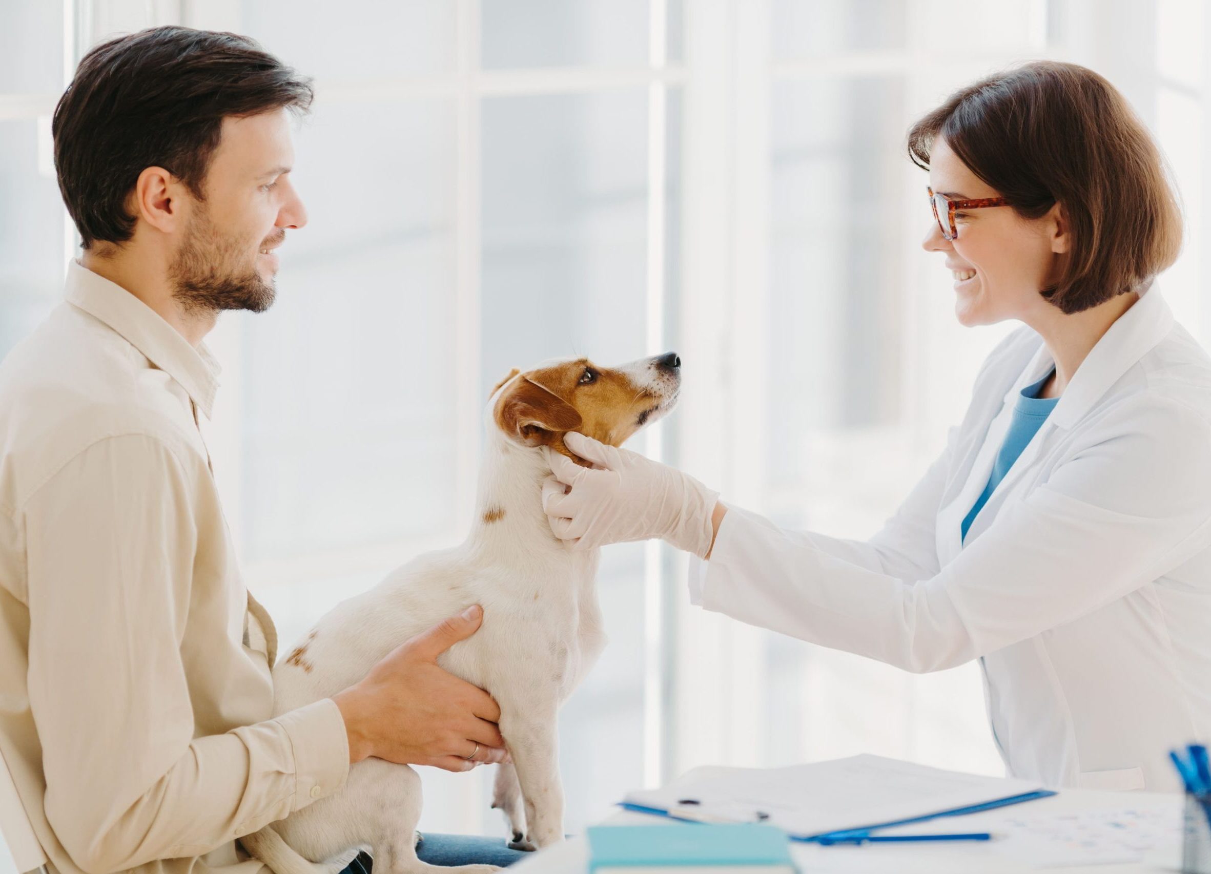 solution encaissement vétérinaire