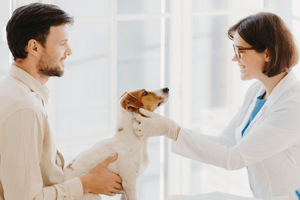 Visuel vétérinaire