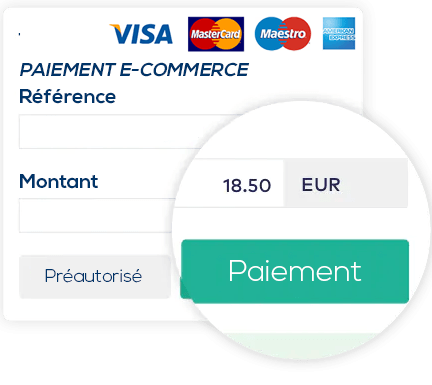 module de paiement en ligne